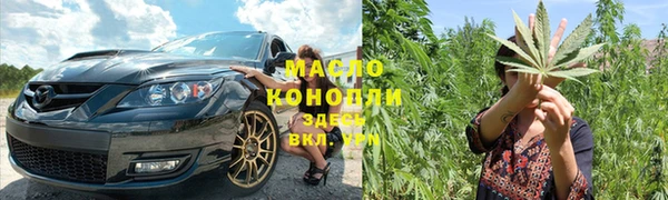 крисы Богородицк